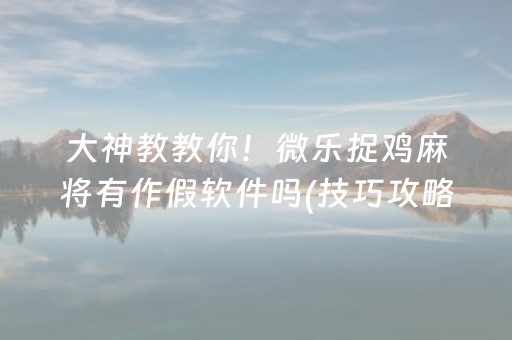 大神教教你！微乐捉鸡麻将有作假软件吗(技巧攻略怎样拿好牌)
