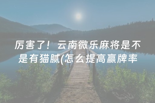 厉害了！云南微乐麻将是不是有猫腻(怎么提高赢牌率)