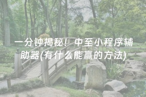 一分钟揭秘！中至小程序辅助器(有什么能赢的方法)