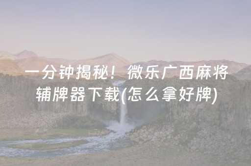 一分钟揭秘！微乐广西麻将辅牌器下载(怎么拿好牌)