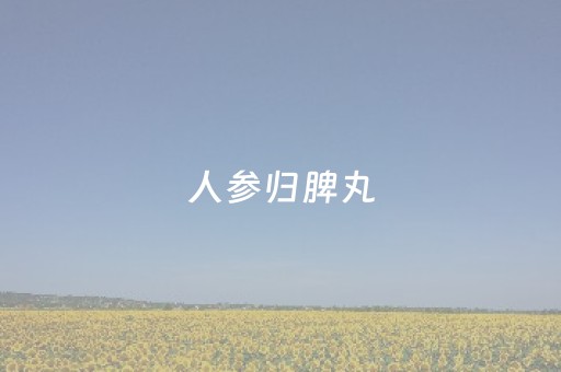 人参归脾丸（人参归脾丸功效和作用和适用人群）