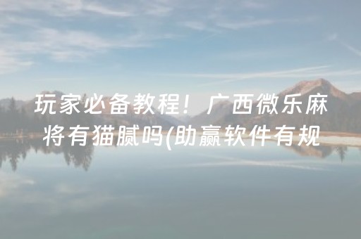 玩家必备教程！广西微乐麻将有猫腻吗(助赢软件有规律吗)