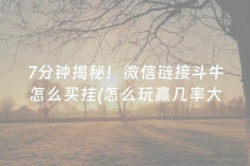7分钟揭秘！微信链接斗牛怎么买挂(怎么玩赢几率大)