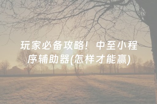 玩家必备攻略！中至小程序辅助器(怎样才能赢)