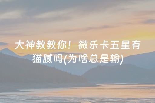 大神教教你！微乐卡五星有猫腻吗(为啥总是输)