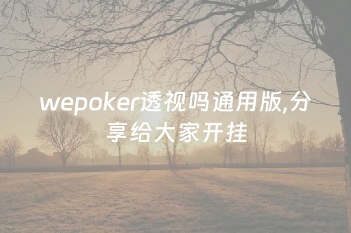 wepoker透视吗通用版,分享给大家开挂（we poker透视）