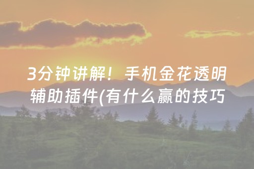 3分钟讲解！手机金花透明辅助插件(有什么赢的技巧)