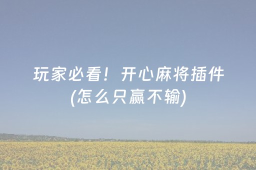 玩家必看！开心麻将插件(怎么只赢不输)