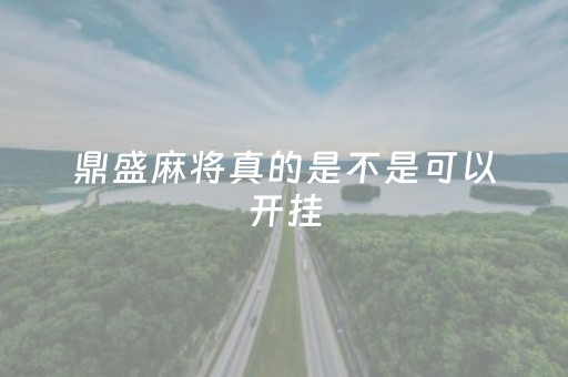 鼎盛麻将真的是不是可以开挂（鼎盛棋牌）