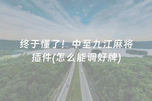 终于懂了！中至九江麻将插件(怎么能调好牌)