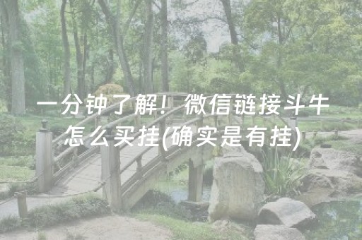 一分钟了解！微信链接斗牛怎么买挂(确实是有挂)