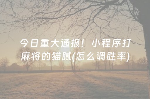 今日重大通报！小程序打麻将的猫腻(怎么调胜率)