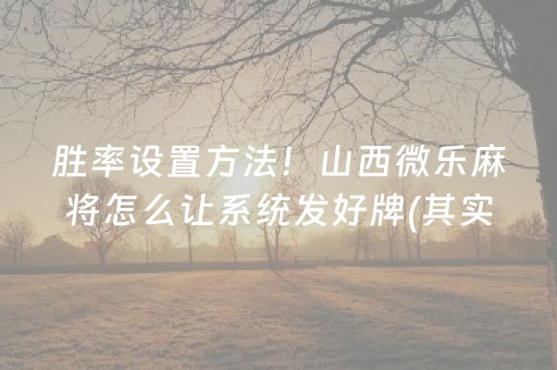 胜率设置方法！山西微乐麻将怎么让系统发好牌(其实是有挂确实有挂)