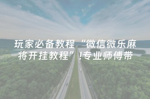 一分钟了解！微乐捉鸡麻将助赢软件(揭秘小程序输赢技巧)