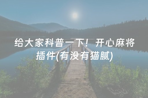 给大家科普一下！开心麻将插件(有没有猫腻)