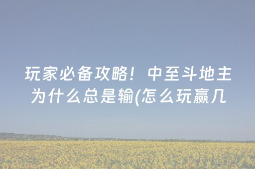 玩家必备攻略！中至斗地主为什么总是输(怎么玩赢几率大)