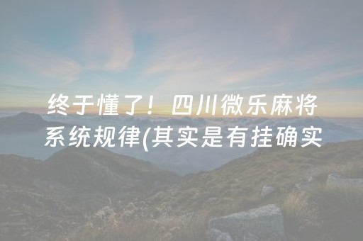 玩家必备！开心泉州麻将插件(揭秘微信里助赢神器购买)