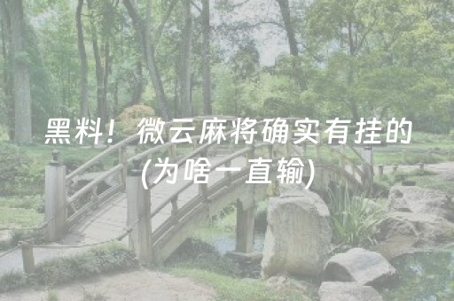大神教教你！微乐内蒙麻将胜率到哪调(确实是有挂的)