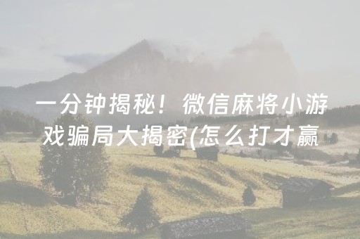 玩家必备十款！微信麻将胡牌神器安装(揭秘微信里如何让牌变好)