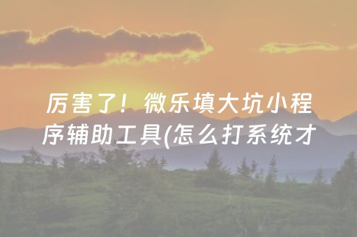 厉害了！微乐填大坑小程序辅助工具(怎么打系统才能给好牌)