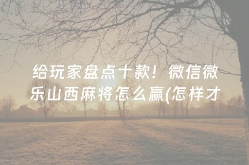 给玩家盘点十款！微信微乐山西麻将怎么赢(怎样才能有好牌)