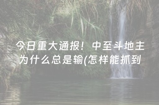 今日重大通报！中至斗地主为什么总是输(怎样能抓到好牌)