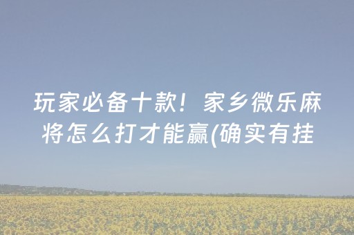 玩家必备十款！家乡微乐麻将怎么打才能赢(确实有挂)