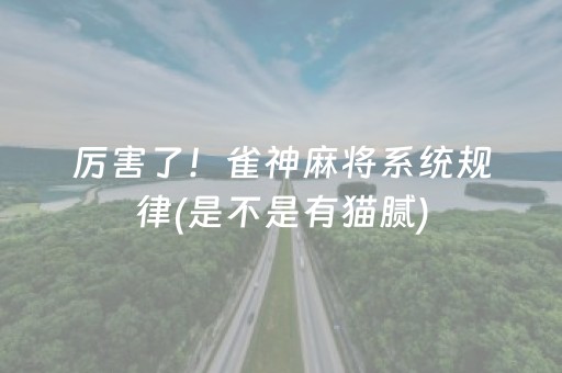 厉害了！雀神麻将系统规律(是不是有猫腻)