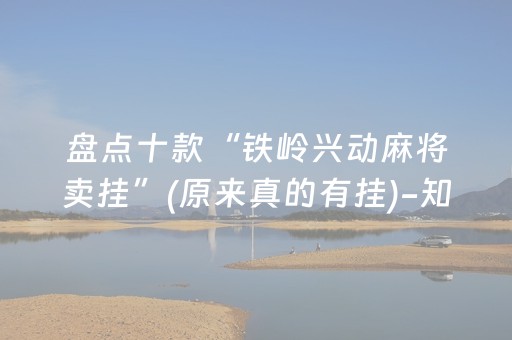 盘点十款“铁岭兴动麻将卖挂”(原来真的有挂)-知乎