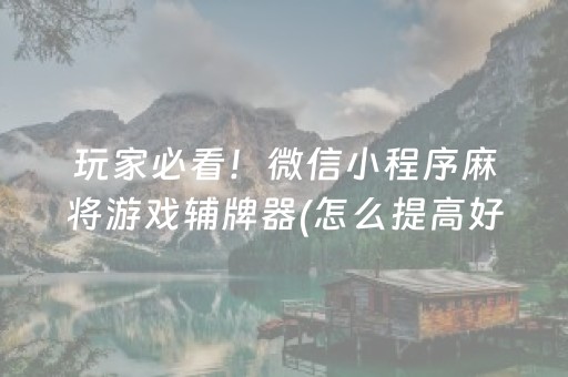 玩家必看！微信小程序麻将游戏辅牌器(怎么提高好牌几率)