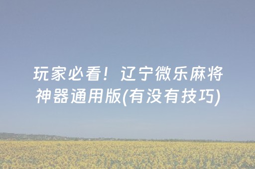 玩家必看！辽宁微乐麻将神器通用版(有没有技巧)