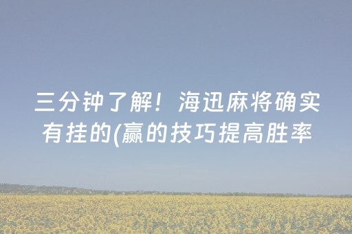 三分钟了解！海迅麻将确实有挂的(赢的技巧提高胜率)