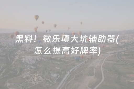 黑料！微乐填大坑辅助器(怎么提高好牌率)