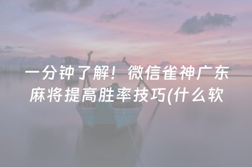 一分钟了解！微信雀神广东麻将提高胜率技巧(什么软件可以赢)