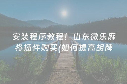 安装程序教程！山东微乐麻将插件购买(如何提高胡牌率)