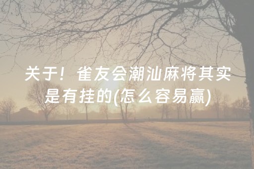 关于！雀友会潮汕麻将其实是有挂的(怎么容易赢)