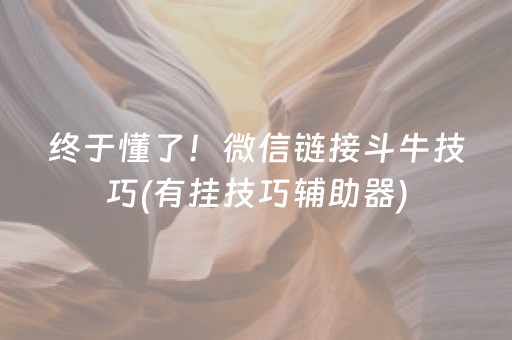 终于懂了！微信链接斗牛技巧(有挂技巧辅助器)