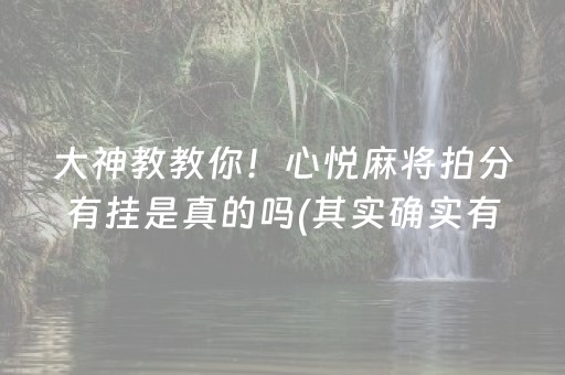 大神教教你！心悦麻将拍分有挂是真的吗(其实确实有挂)