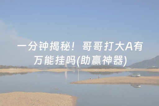 一分钟揭秘！哥哥打大A有万能挂吗(助赢神器)