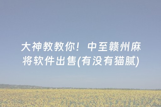 大神教教你！中至赣州麻将软件出售(有没有猫腻)