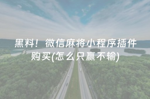 黑料！微信麻将小程序插件购买(怎么只赢不输)