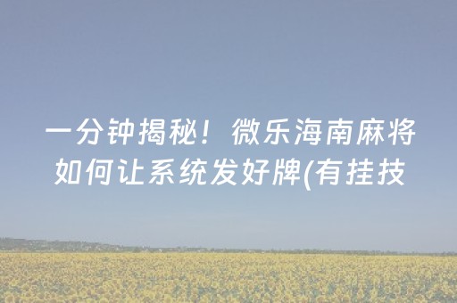 一分钟揭秘！微乐海南麻将如何让系统发好牌(有挂技巧辅助器)