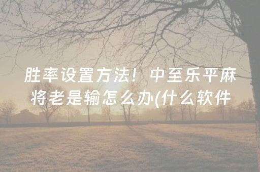 胜率设置方法！中至乐平麻将老是输怎么办(什么软件可以赢)