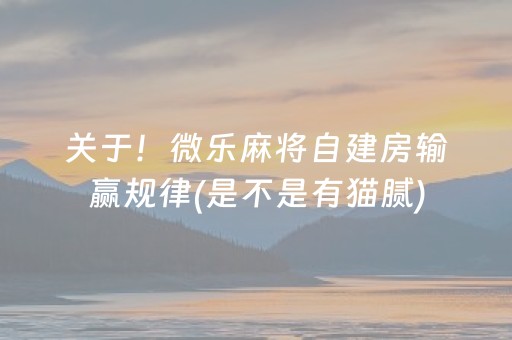 关于！微乐麻将自建房输赢规律(是不是有猫腻)