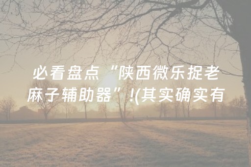 必看盘点“陕西微乐捉老麻子辅助器”!(其实确实有挂)-知乎
