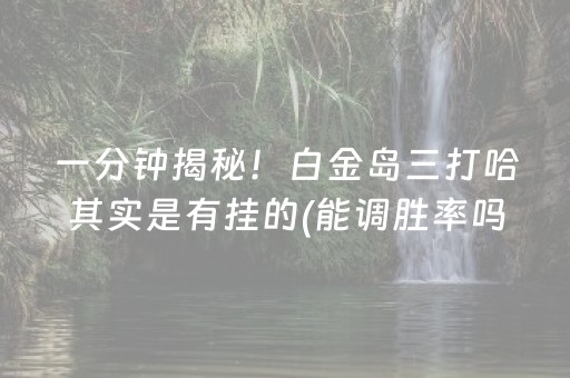 一分钟揭秘！白金岛三打哈其实是有挂的(能调胜率吗)