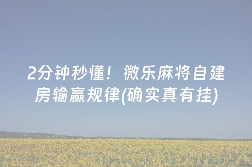 2分钟秒懂！微乐麻将自建房输赢规律(确实真有挂)