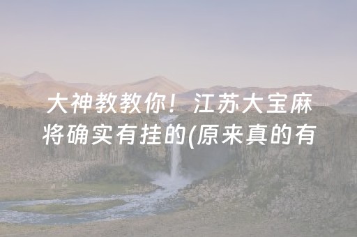 大神教教你！江苏大宝麻将确实有挂的(原来真的有挂)