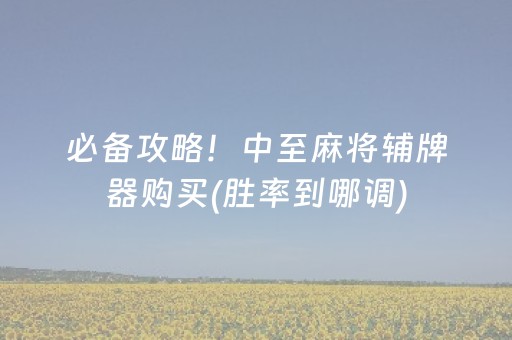 必备攻略！中至麻将辅牌器购买(胜率到哪调)