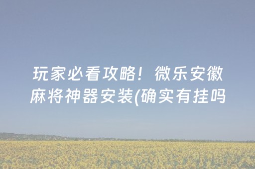 玩家必看攻略！微乐安徽麻将神器安装(确实有挂吗)